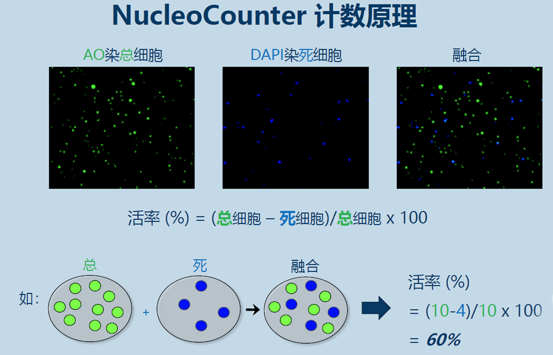 Chemometec NucleoCounter(x)Ӌ(sh)x