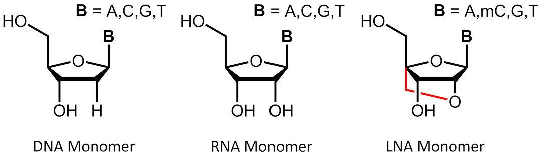 IDT Affinity Plus qPCR̽LNAi̽һ̱ƽ