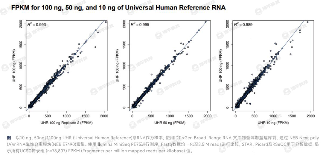 IDT xGen Broad-Range RNAĎ옋(gu)ԇи؏(f)  ƽ